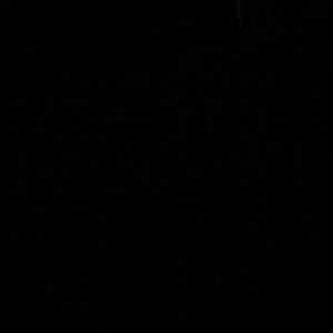 Meet your Posher, Lynn